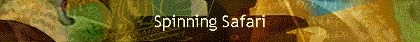 Spinning Safari