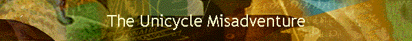 The Unicycle Misadventure